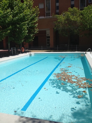 RECUBRIMIENTO DE PISCINA EN CALLE ALEGRIA ORIA 47 (Madrid)